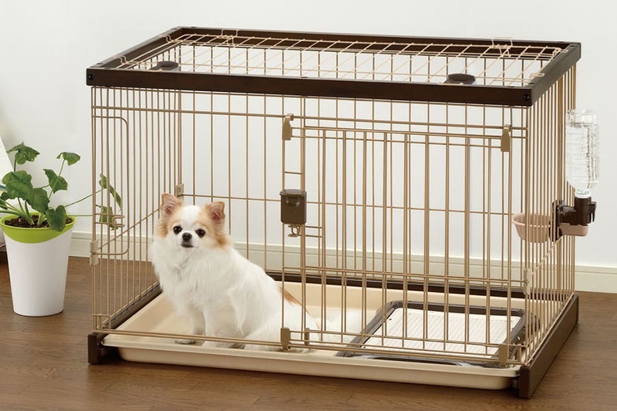 باکس فلزی سگ و گربه