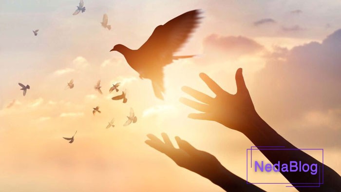 رمز ورود برکت به خانه با بخشش