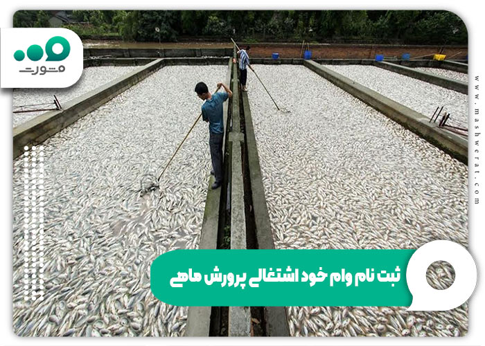 ثبت نام وام خود اشتغالی پرورش ماهی