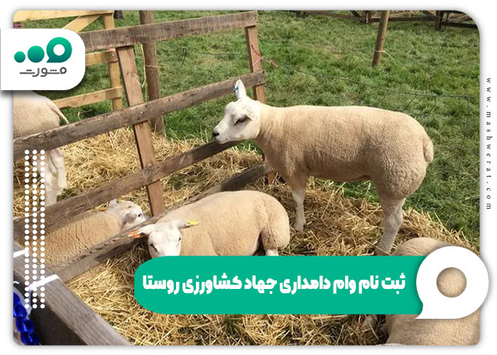 ثبت نام وام دامداری جهاد کشاورزی روستا