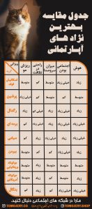 مقایسه و انتخاب گربه مناسب