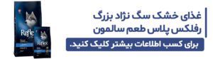 خرید غذای خشک سگ نژاد بزرگ رفلکس پلاس طعم سالمون