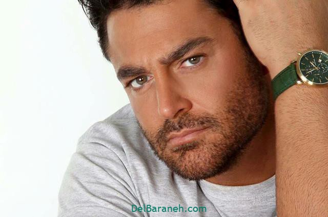 خلاصه داستان سریال دل و قسمت آخر + عکس بازیگران (۸)