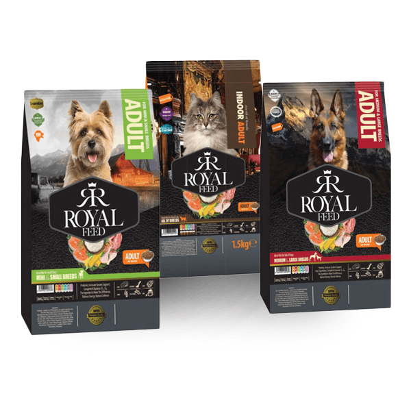 خرید غدای خشک