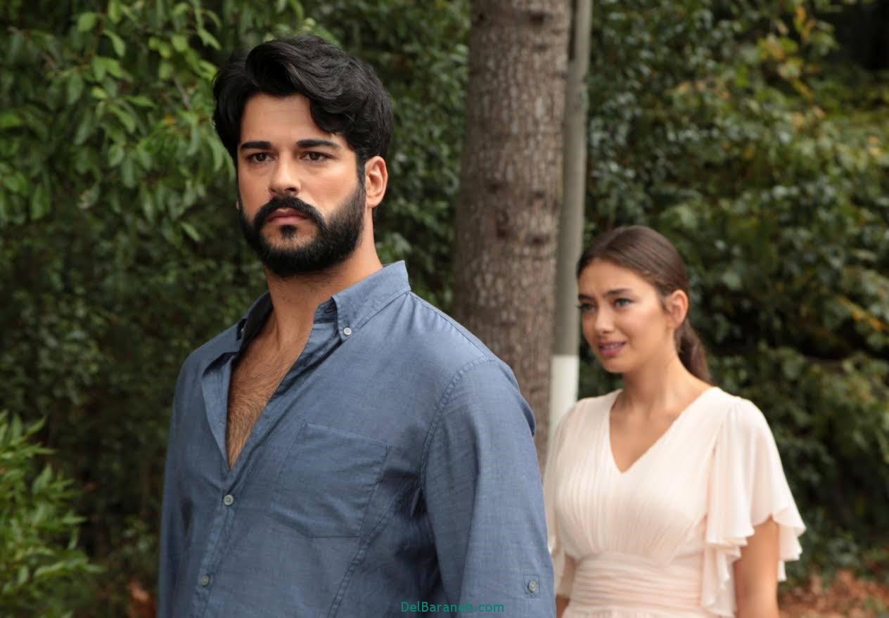 سریال اکیا (19)