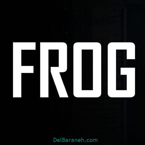 سریال قورباغه (۶)