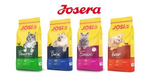 permum josera