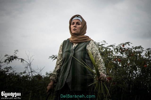 پشت صحنه سریال گیله وا (۶)