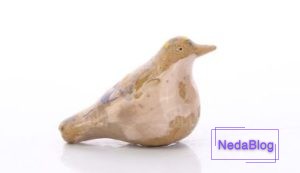سوتک