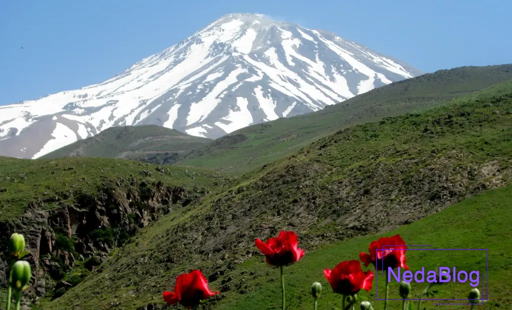 دامنه دماوند