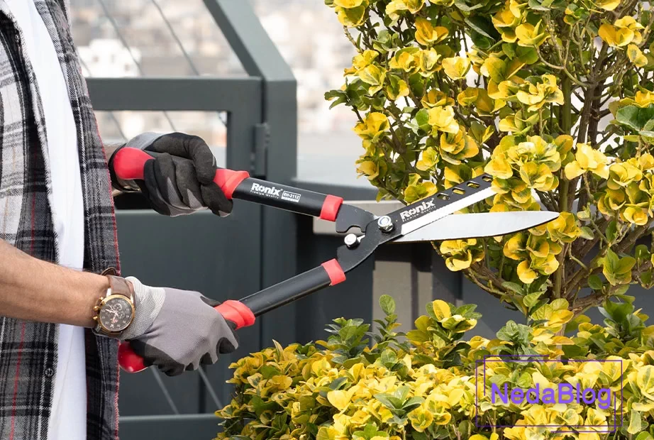 قیچی باغبانی رونیکس