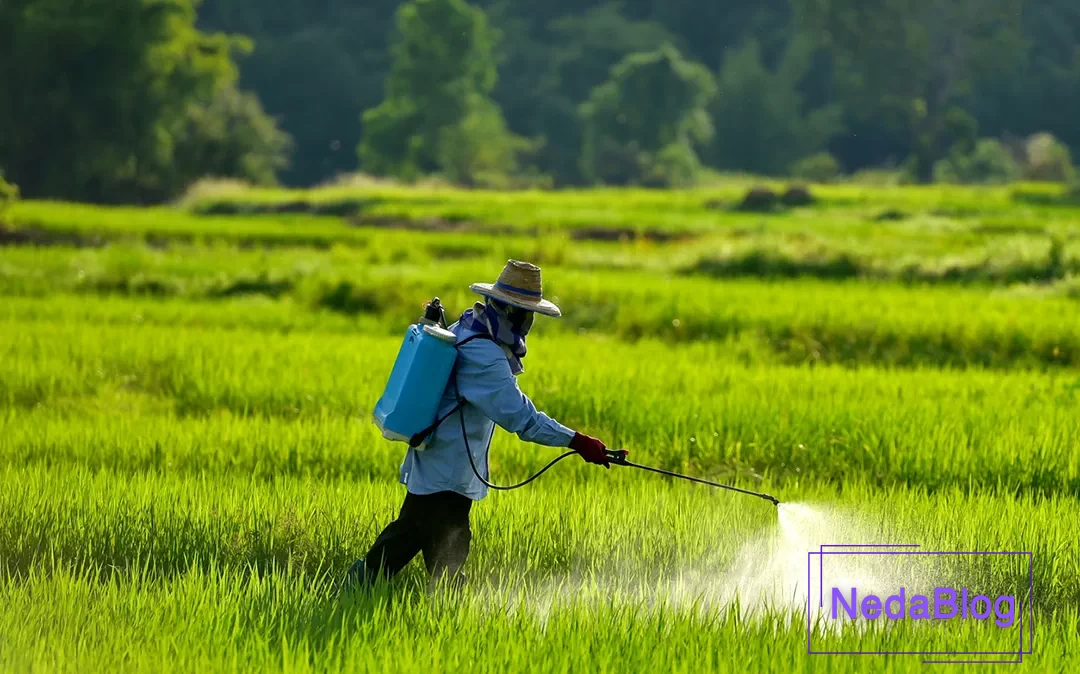 سم پاشی در مزارع