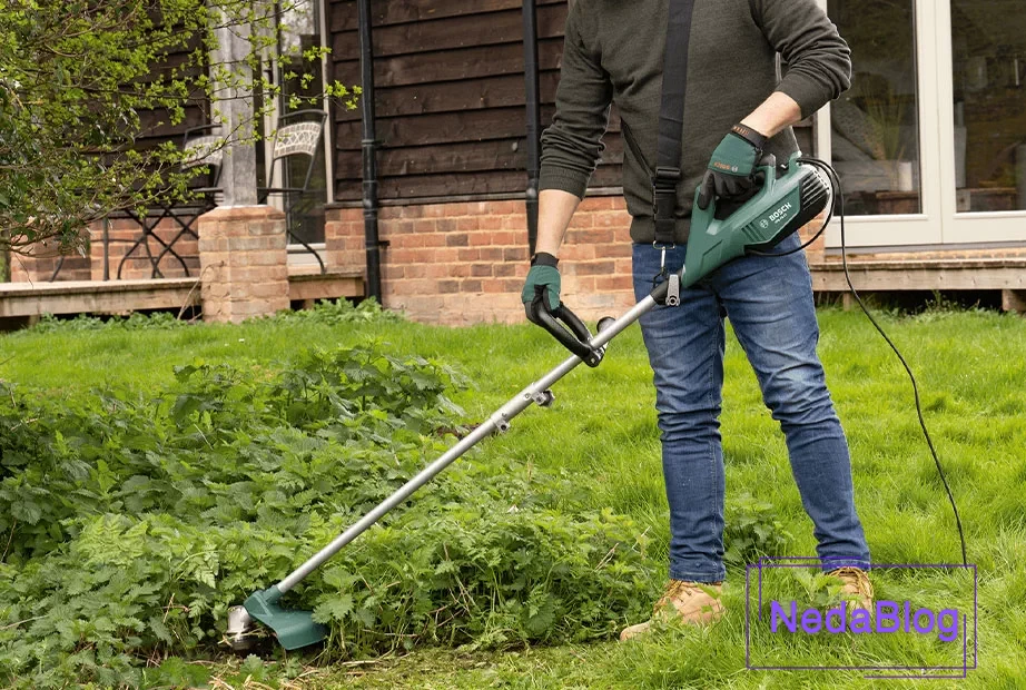 حاشیه‌ زن بوش