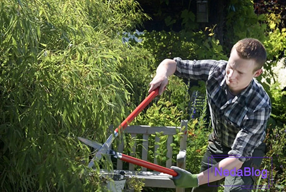 معرفی بهترین مارک قیچی باغبانی برگر