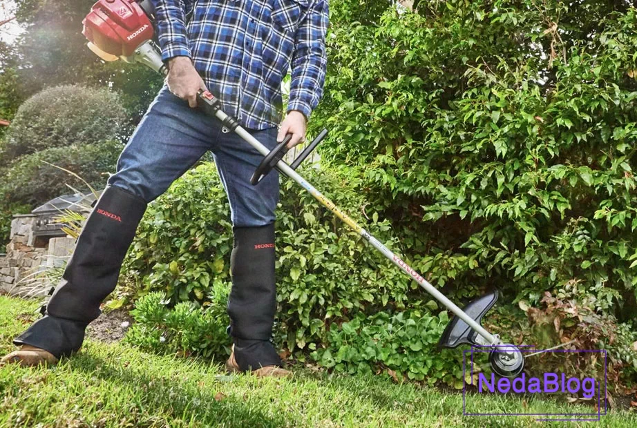 حاشیه زن هوندا