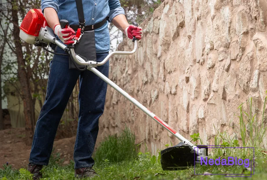 حاشیه زن رونیکس