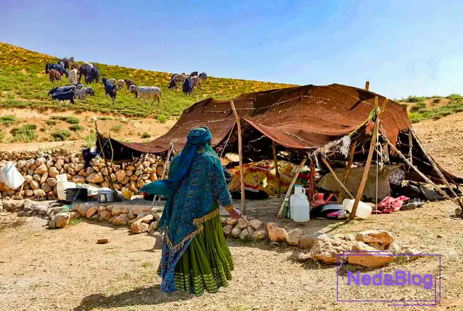 معاشرت با محلی&zwnj;ها