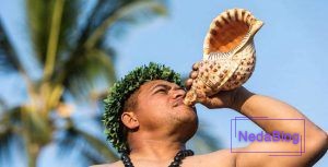 ساز عجیب حلزونی