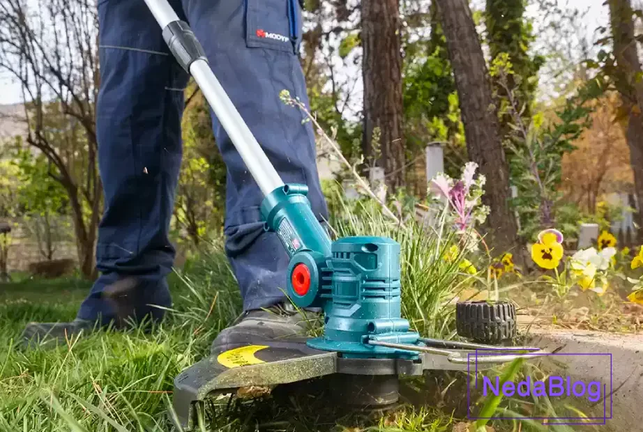 حاشیه زن شارژی