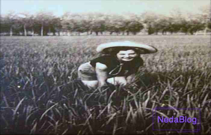 تاریخچه آهنگ بلا چاو