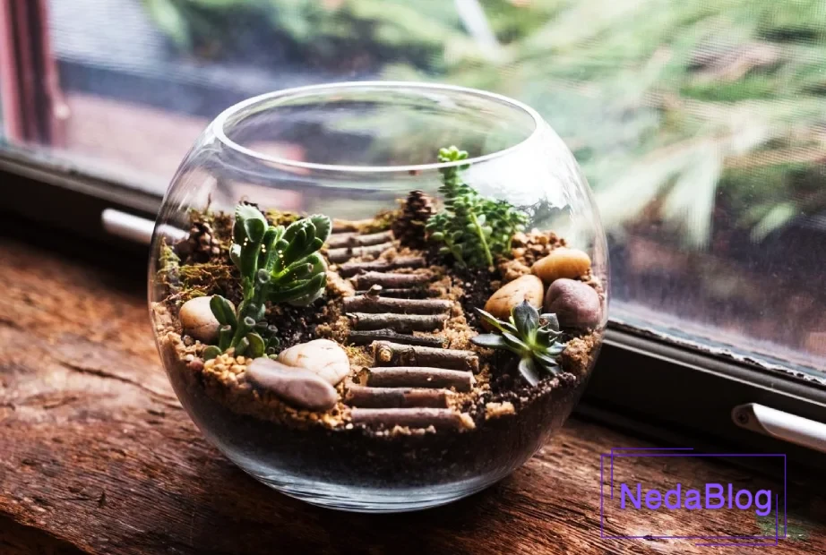 گلدان تراریوم برای هدیه عید