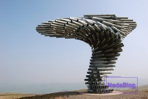 درخت آوازه خوان در انگلیس