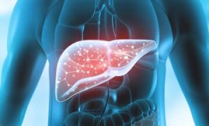 پاکسازی کبد با ۴ نوشیدنی صبحگاهی؛ صبح‌ها را با انرژی بیشتری شروع کنید / فواید نوشیدنی‌ها و اثرات آن‌ها بر سلامت کبد / نسخه طبیعی و آسان برای همه