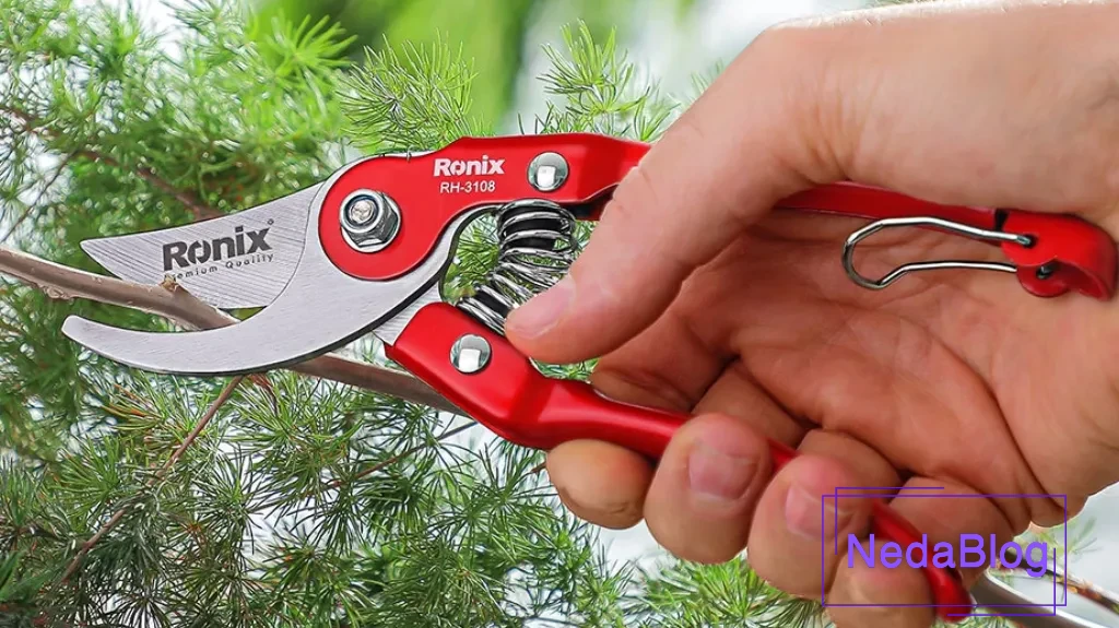 ابزار باغبانی برای مراقبت از گیاهان آپارتمانی: نکات و توصیه ها