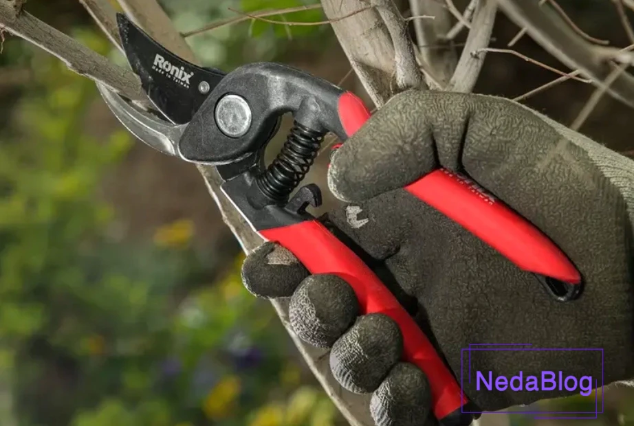 قیچی باغبانی رونیکس