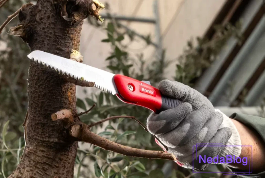 اره باغبانی رونیکس