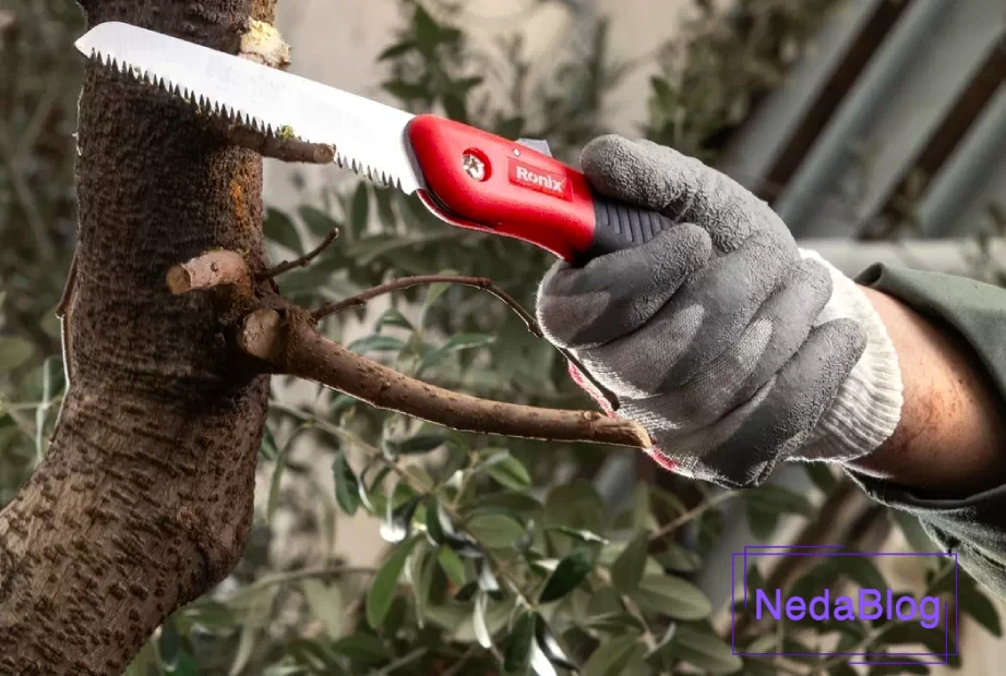 اره باغبانی رونیکس