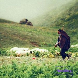 آواز یا آهنگ دشتی چیست؟