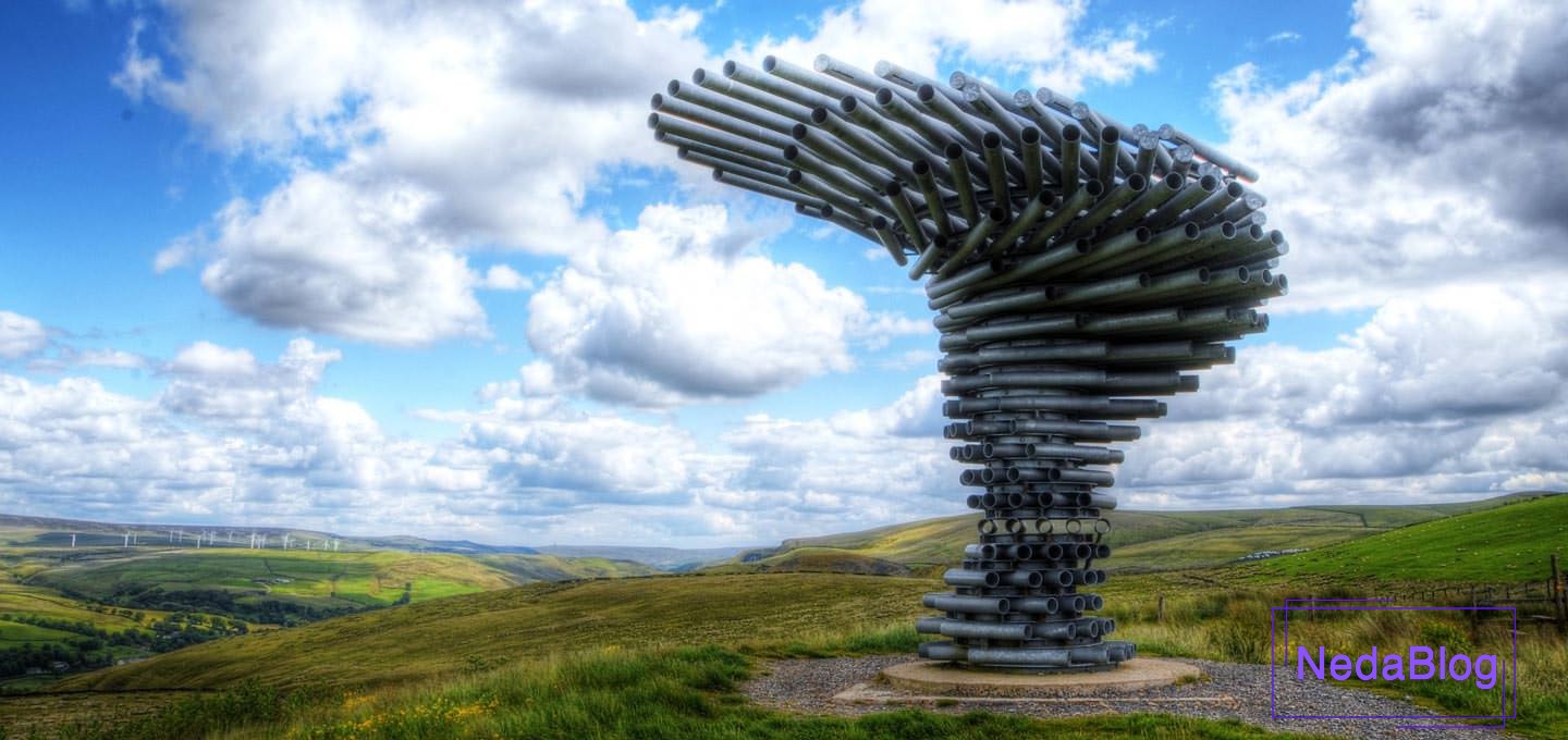 درخت آوازه خوان در انگلیس