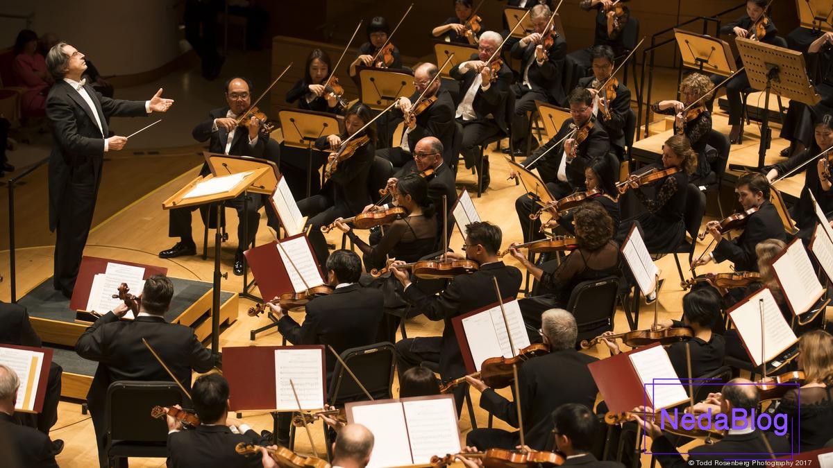 موومان به چه معناست؟