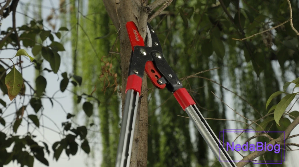 بهترین برند شاخه‌ زن: معرفی پرفروش‌ترین و باکیفیت‌ترین برند شاخه‌زن