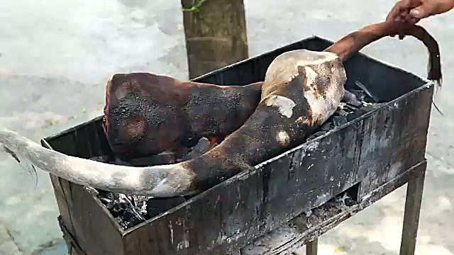 پخت غذای محبوب با دم گاو در خیابان‌های بانکوک