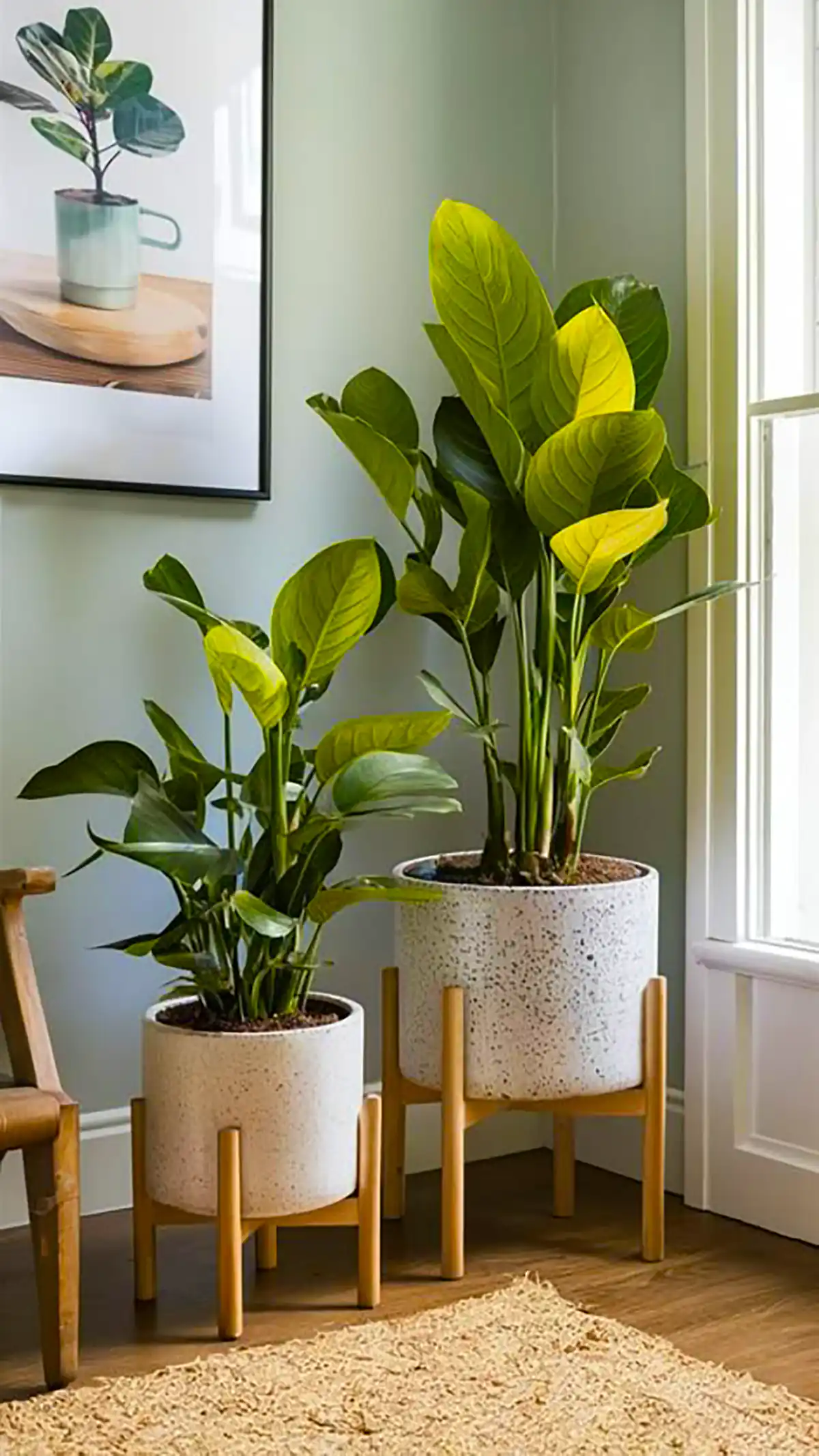 دیزاین خونه با گل های طبیعی