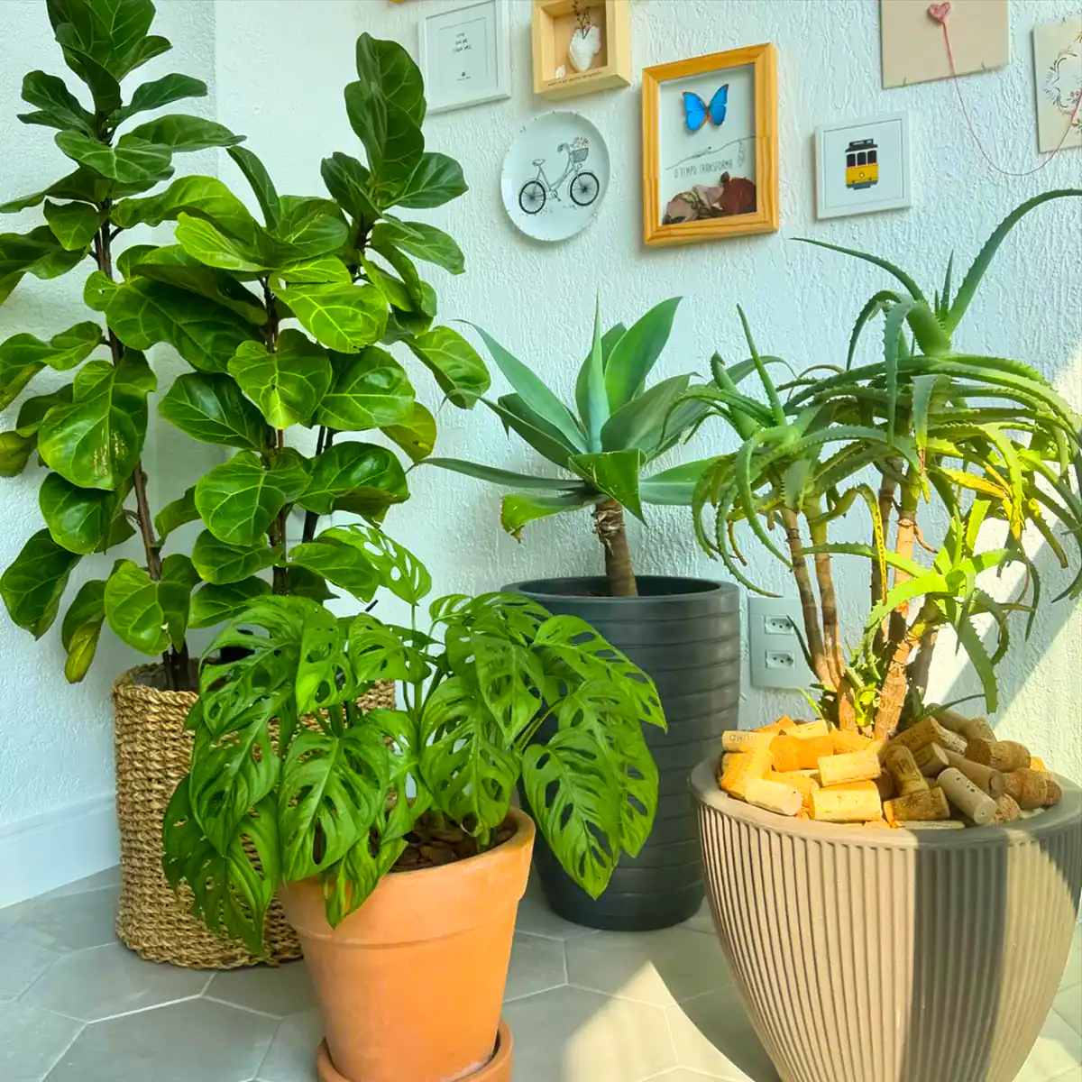 دیزاین خونه با گل های طبیعی