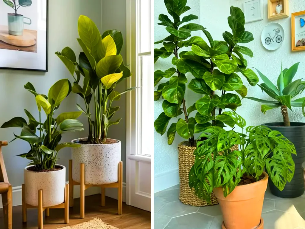 دیزاین خونه با گل های طبیعی