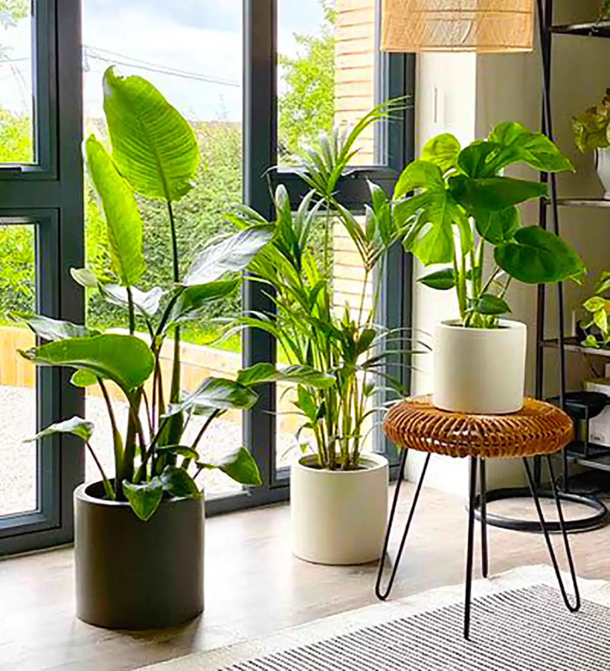 دیزاین خونه با گل های طبیعی