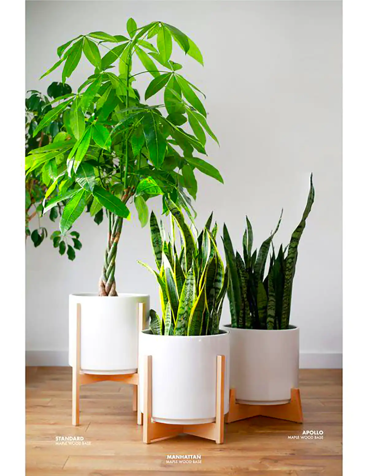 دیزاین خونه با گل های طبیعی