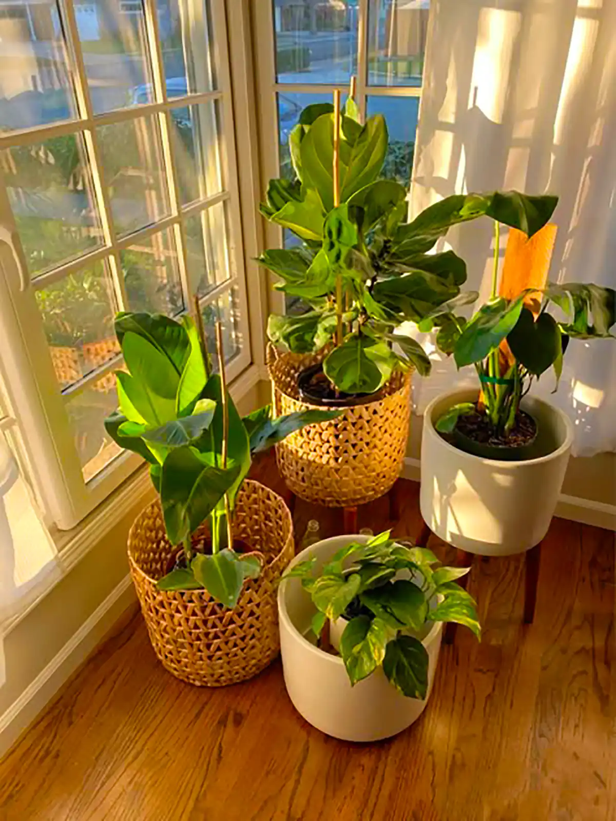 دیزاین خونه با گل های طبیعی