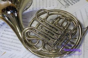 آشنایی با ساز حلزونی هورن