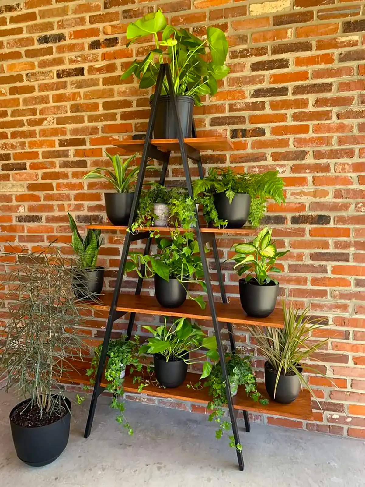 استند گل جذاب کیوت