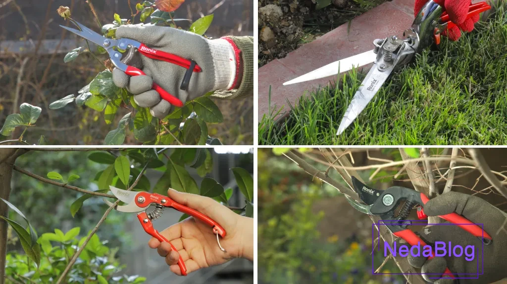 راهنمای خرید قیچی باغبانی بر اساس نوع گیاه و کاربرد