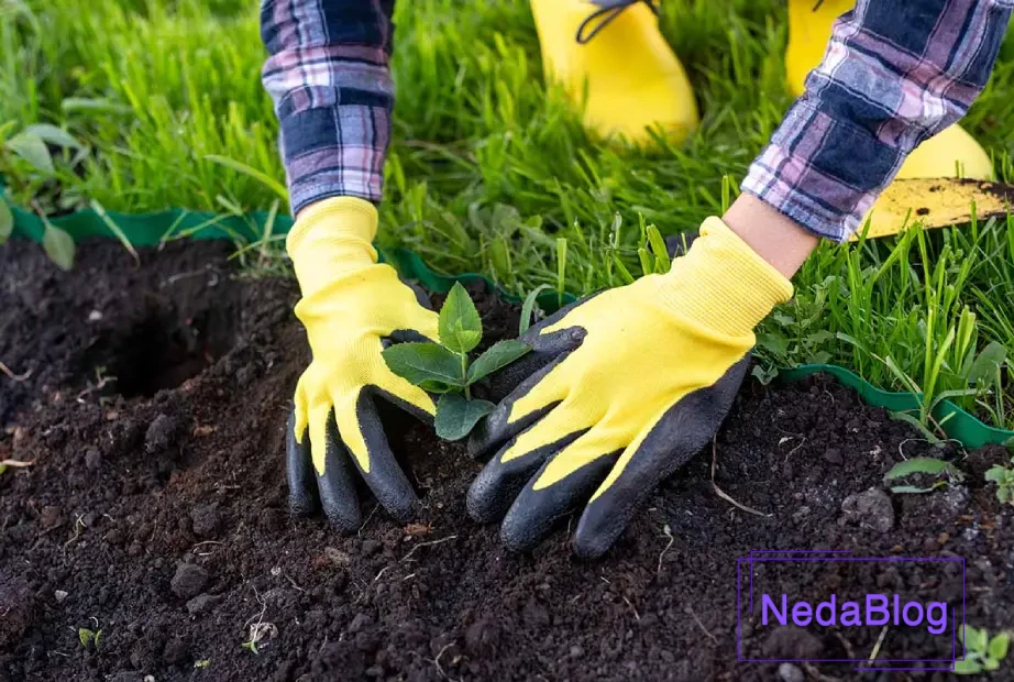 دستکش مناسب برای باغبانی