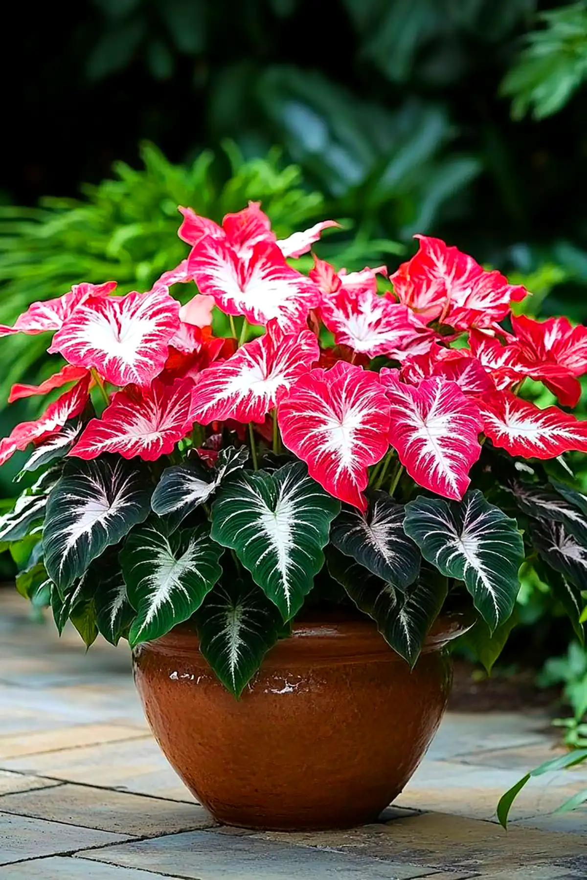 گلدون بهاری خاص