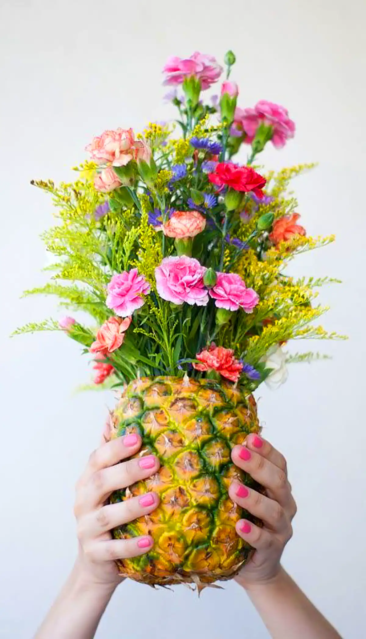 گلدون های بامزه دکوری