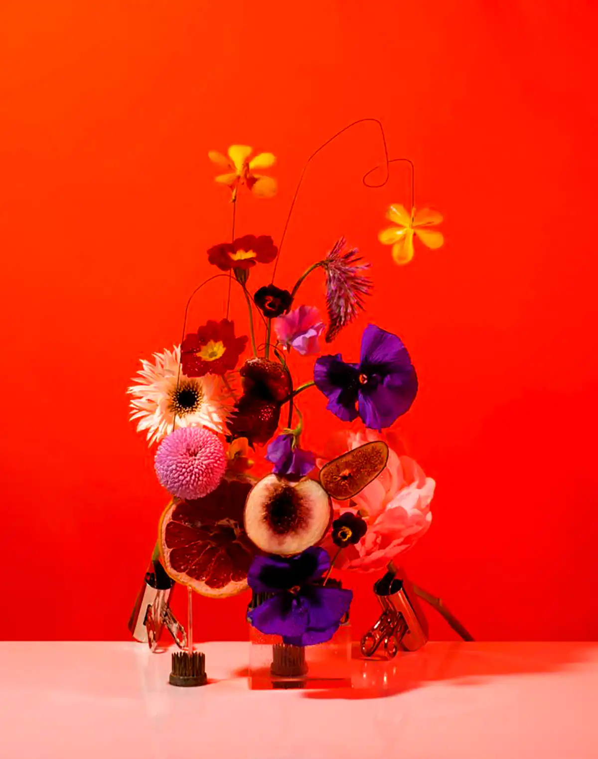 گلدون های بامزه دکوری