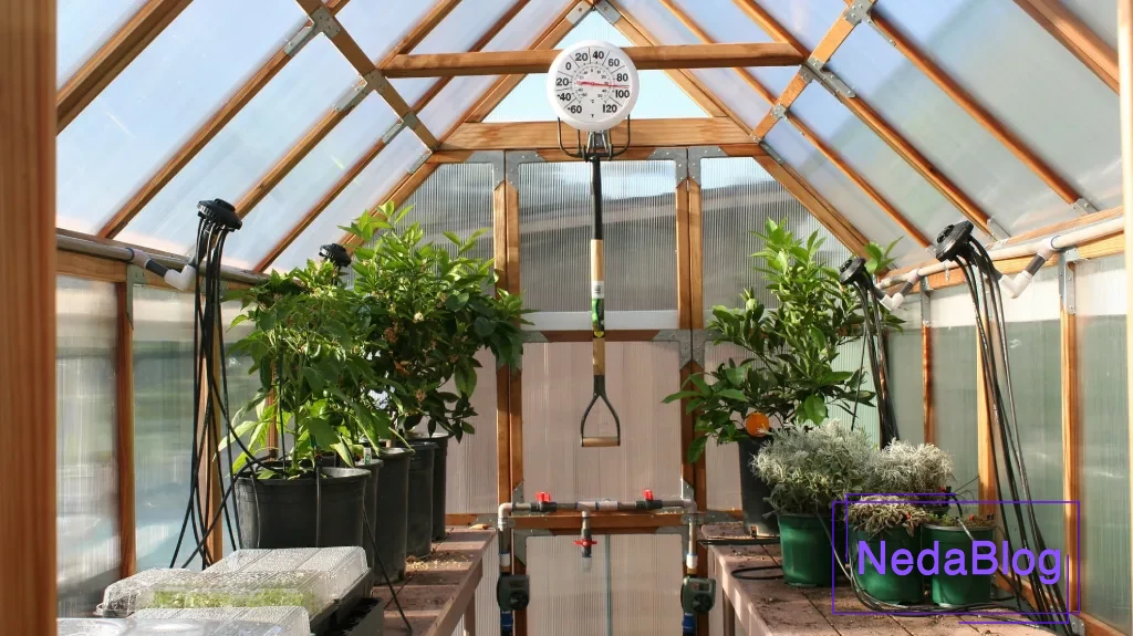 چطور گلخانه خانگی بسازیم؟ ابزارها و نکات کلیدی